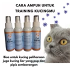 CAT AWAY Natural Cat Repellent 1